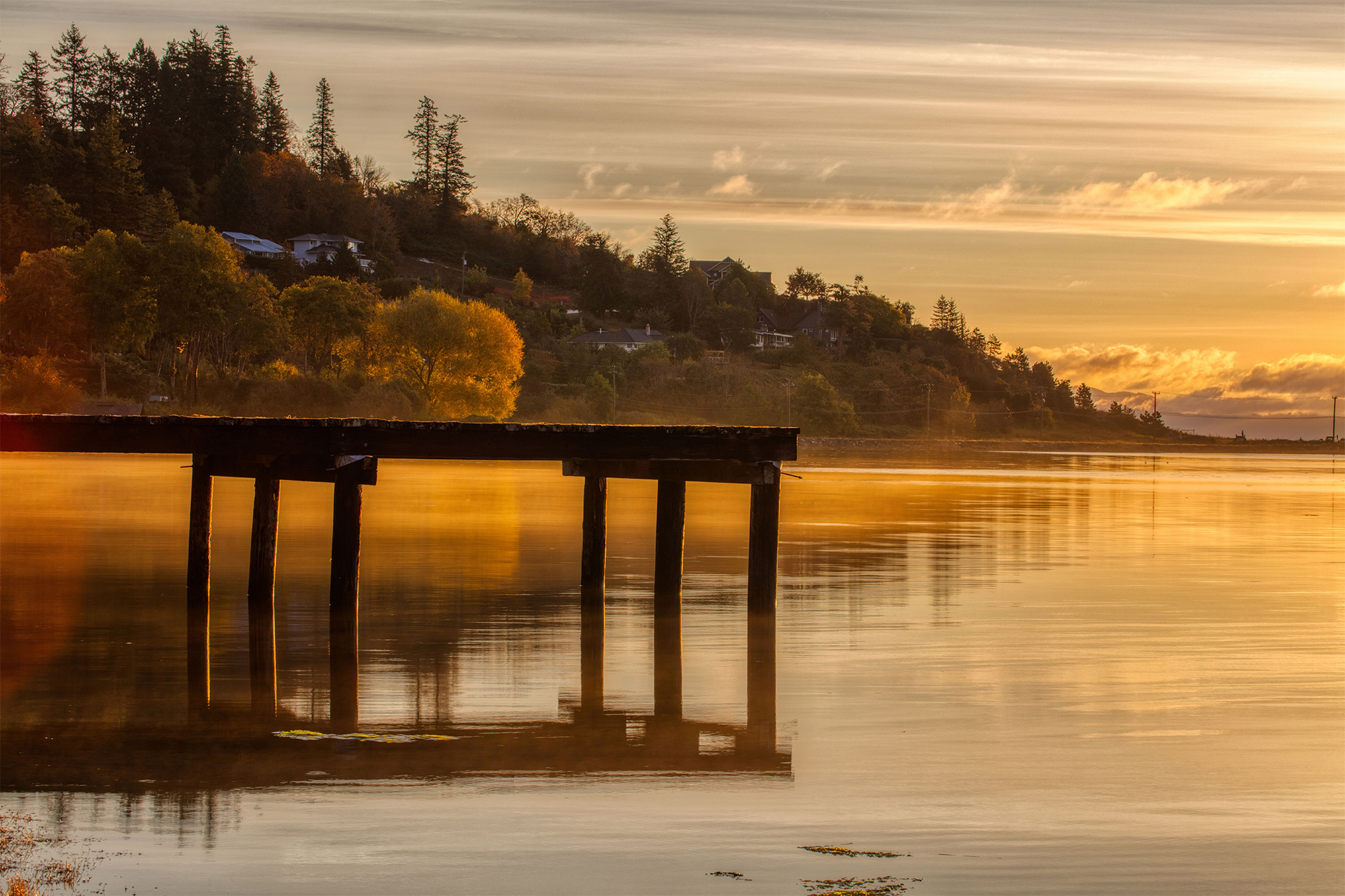 North Island – John Finn