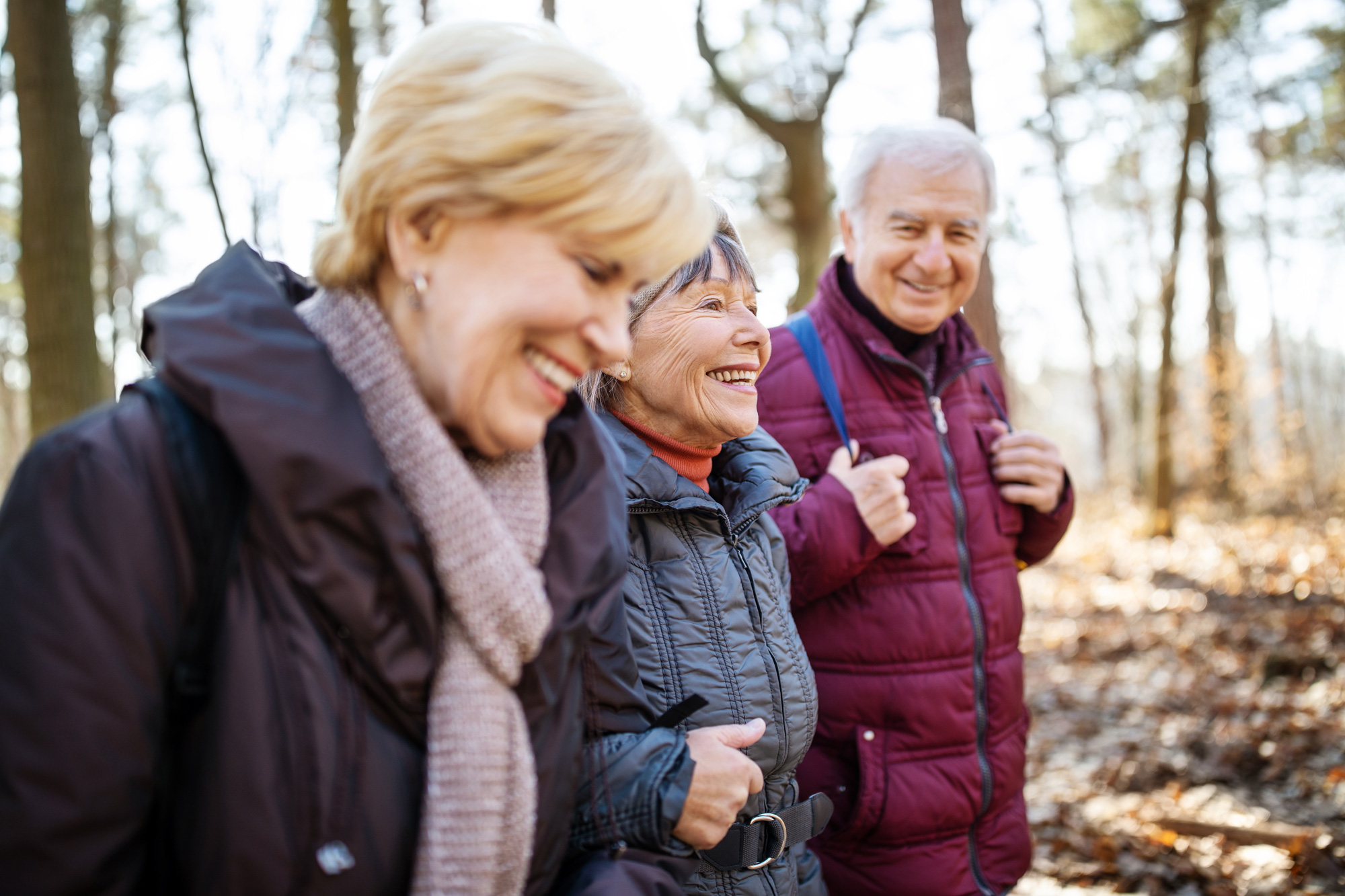 Group of happy elderly people walking in a forest in the winter